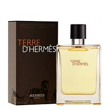 Hermes Terre d’Hermes Eau de Toilette 100 ml. karismashop