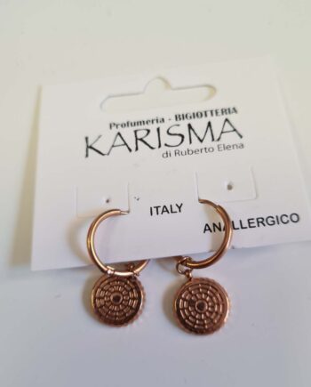 Orecchini a Cerchietto Acciaio Rosee Tondo karismashop